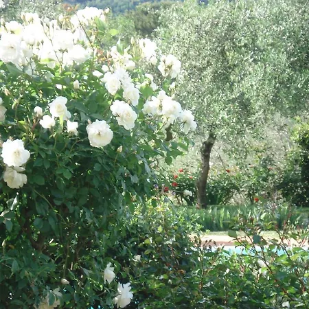 Antica Sosta Renai Vila Castelfiorentino